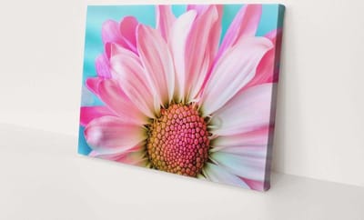 Roze bloem | 60 x 40 CM | Canvasdoek voor buiten | Schilderij | Outdoor | Tuindoek