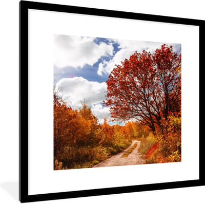 Fotolijst incl. Poster - Boom - Pad - Herfst - 40x40 cm - Posterlijst