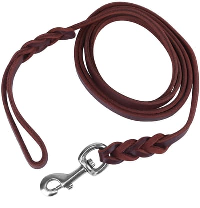 Dailygoods- Hondenriem Sterk - Hondenriem Leer - Gevoerd Handvat - Karabijnsluiting - Geschikt voor Middelgrote Hond - 2,1 m Lengte - Hondentuig