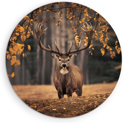 Saammp Muurcirkel Hout - Hert in de wei tijdens de herfst tijden - Natuur - Dieren - Ø 90 - Wandcirkel - Wanddecoratie Cirkel - Muurdecoratie Woonkamer - Slaapkamer decoratie - Rond Schilderij