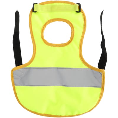 Kippenveren Beschermvest Eend Reflecterend Veiligheidsvest Jas KippenkledingGroen groen