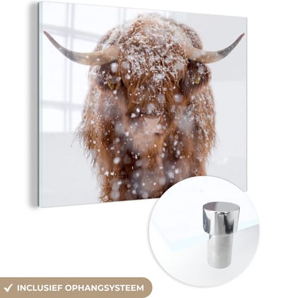 MuchoWow® Glasschilderij 160x120 cm - Schilderij acrylglas - Schotse Hooglander - Horens - Sneeuw - Foto op glas - Schilderijen