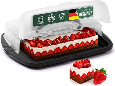 Novaliv taarttransportdoos XL (rechthoekig 47 x 35 x 11 cm), opbergdoos opvouwbaar, feestdoos container taarttransportdoos taartcontainer container, taart taartbuffet feest transportdoos