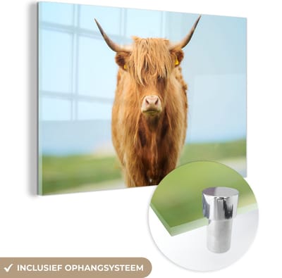 MuchoWow® Glasschilderij 120x80 cm - Schilderij acrylglas - Schotse hooglander - Haar - Gras - Foto op glas - Schilderijen