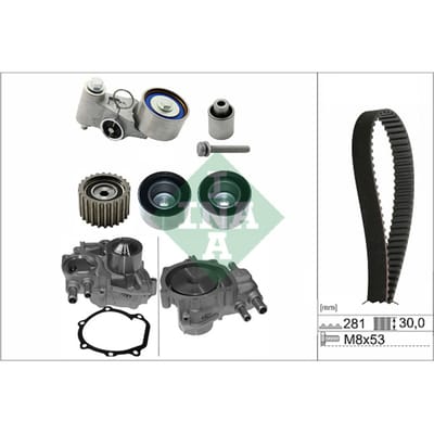 Schaeffler Ina Waterpomp + distributieriem set PowerGrip® INA 530 0563 30