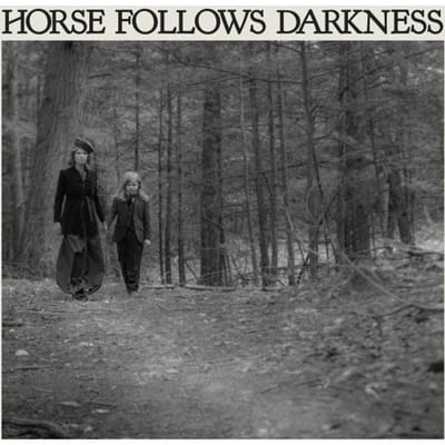 Vinyle LP DELIA GONZALEZ - Horse Follows Darkness DFA2522 DFA 2017 US Dance & Electronica
