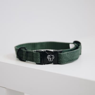 Kentucky Dogwear Hondenhalsband Hagedissenprint - Groen S - 28-40cm