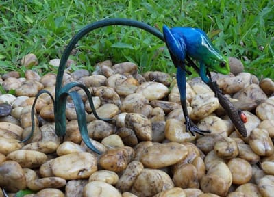 Beeld Brons Blauwe Kikker Aan Twijg | Bronzen Beelden  | Bronzen Dierenbeelden | 1 Jaar Garantie