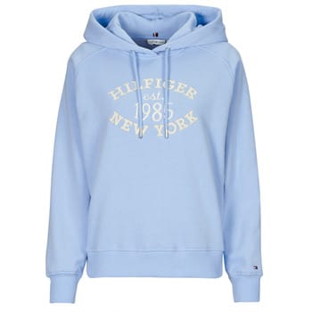Capuchon sweaters Tommy Hilfiger MDRN REG SCRIPT SWEATSHIRT