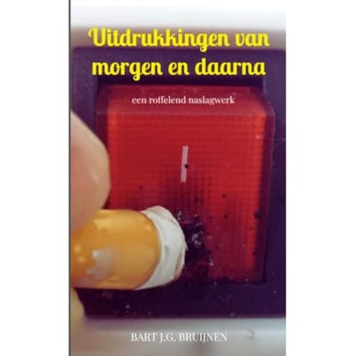 Uitdrukkingen Van Morgen En Daarna - Bart J.G. Bruijnen