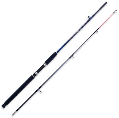 Lineaeffe Caspian Pro Spinhengel Zilver 1.50 m / 250 g