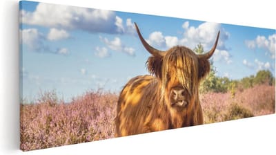 Artaza Canvas Schilderij Hooglander - 60x20 cm - Muurdecoratie Heide - Wanddecoratie Woonkamer - Kamer Accessoires