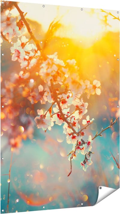 Gards Tuinposter Bloesemboom tijdens Zonsondergang - Bloem - 120x180 cm - Tuindoek - Tuindecoratie - Wanddecoratie buiten - Tuinschilderij