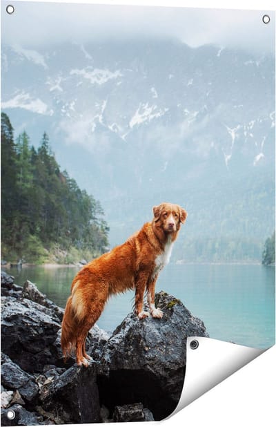 Gards Tuinposter Retriever Hond bij het Water in de Bergen - 60x80 cm - Tuindoek - Tuindecoratie - Wanddecoratie buiten - Tuinschilderij