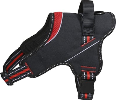 Jack And Vanilla - Tuigen - Jv Outdoor Comforttuigje Rood-60cm Outha4060 - 229317