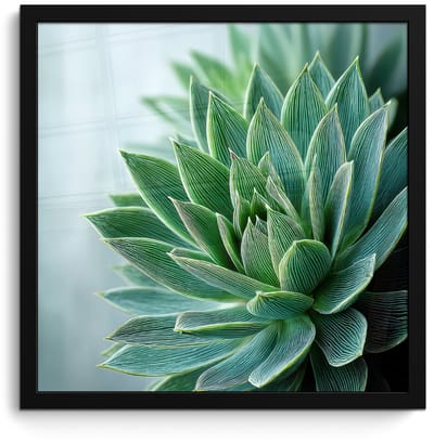 Poster in lijst - Fotolijst 40x40 cm - Posters - Vetplant - Bladeren - Groen - Wazig - Posterlijst zwart - Decoratie - Wanddecoratie woonkamer - Muurdecoratie slaapkamer