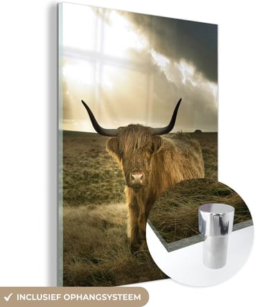 MuchoWow® Glasschilderij - Schotse Hooglander - Zon - Duin - Natuur - Dieren - 120x160 cm - Acrylglas Schilderijen - Foto op Glas - Muurdecoratie