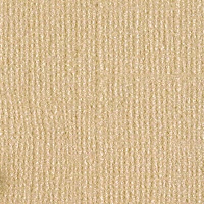 Bazzill Textuurpapier - Bling - 30.5x30.5cm - Blank Check - 25 vellen