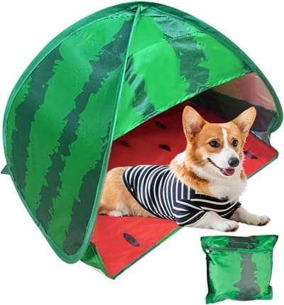 Thijox - Mini Hoofdtent Pop-Up Strandtent voor Hond - Draagbare UV-Bescherming - Ideaal voor Camping, Picknick en Strand - Klein en Lichtgewicht - Hoo