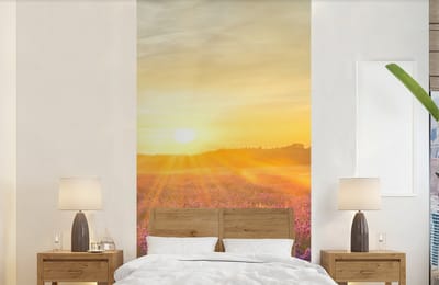 Behang - Fotobehang Lavendel - Zonsondergang - Bomen - Paars - Breedte 120 cm x hoogte 240 cm