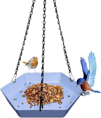 Vogelvoederhuisjes voor Buitengebruik,Papegaaienvoerplateau | Kolibrievoeder Buitengebruik | Voor Patio, Gazon, In De Achtertuin, Op Het Balkon, Vogelspotten, In Het Park, Op De, Dek, Terras En Tuin