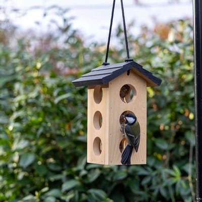 Vogelspotcast Vetbolhouder voor Vogels - Ameland - Mezenbolhouder - Veilig eten voor Kleine Tuinvogels - Voor 3 vetbollen - Gemaakt van FSC-gecertificeerd Hout