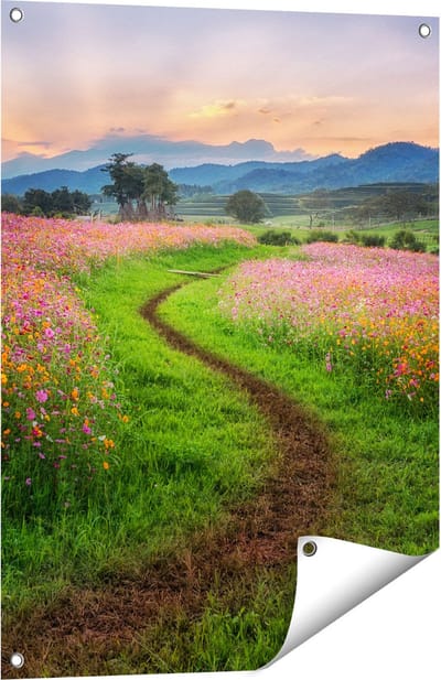 Gards Tuinposter Kosmos Bloemenveld met een Pad - Bloemen - 60x80 cm - Tuindoek - Tuindecoratie - Wanddecoratie buiten - Tuinschilderij