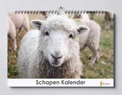 Schapen kalender 35x24 cm | Schapen kalender| Kalender 35 x 24 cm