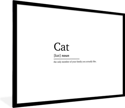 Fotolijst incl. Poster - Quotes - Huisdieren - Cat - Spreuken - Woordenboek - Kat definitie - 80x60 cm - Posterlijst