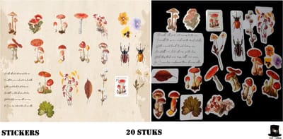 Bob Online ™ - 20 Stuks – Paddenstoelen, Beestjes en Bloemen Stickers PET – Transparant Paddenstoelen, Beestjes & Bloemen Stickers voor Scrapbooking, Kaarten Maken, Inpakken, DIY Ambachten, Scrapbook, Decoupage, Laptop– Toadstool Stickers PET