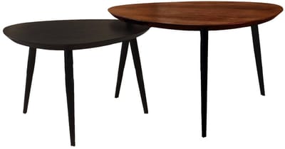 Salontafel organisch set van 2 mangohout Leyla bruin en zwart bijzettafel organisch mango side table
