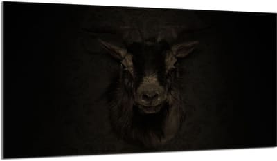 TMK ArtDeko Koza - Beschermplaat voor Kookplaat - 90x52 cm - Gesatineerd Glas - Multicolor