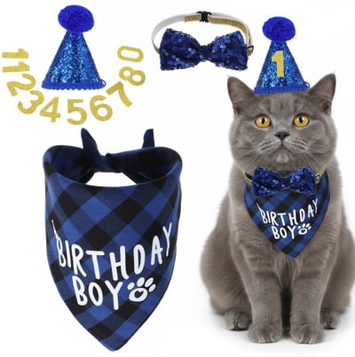 Dailygoods- Verjaardagshoed voor huisdieren - Verjaardagsdecoratie - Feestartikelen - Kattenverjaardag - Nummer 8 - Blauw/Goud - Polyester met pailletten - Huisdierfeest