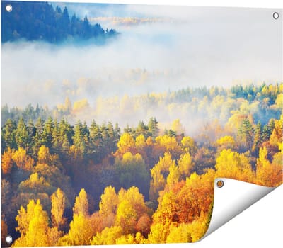 Gards Tuinposter Gekleurde Herfstbos met Mist - 80x60 cm - Tuindoek - Tuindecoratie - Wanddecoratie buiten - Tuinschilderij