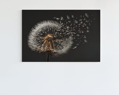 Canvas Schilderij - Paardenbloem - Wanddecoratie - 60x40x2 cm