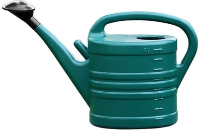 Gieter 5 l lange uitloop plant gieter met afneembaar mondstuk 2 modi tuin met ergonomische handgreep voor binnen buitenplanten tuin bloem bonsai