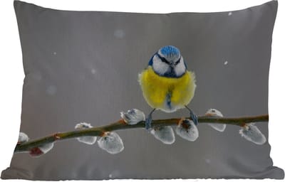 Buitenkussens - Tuin - Pimpelmees - Vogel - Tak - Geel - Blauw - 50x30 cm
