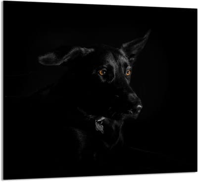TMK ArtDeko - Snijplank - 65x60 cm - Hondenprint - Sfeervol - Multifunctioneel