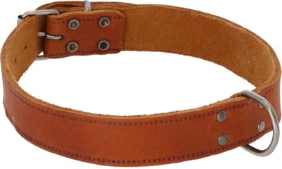 Adori Halsband Vetleder Met Print Cognac - Hondenhalsband - 60x3 cm