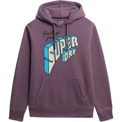 Capuchon sweaters Superdry North