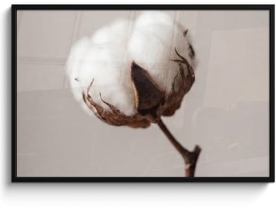 Poster in lijst - Fotolijst 120x80 cm - Posters - Katoenbol - Minimalistisch - Wit - Posterlijst zwart - Decoratie - Wanddecoratie woonkamer - Muurdecoratie slaapkamer