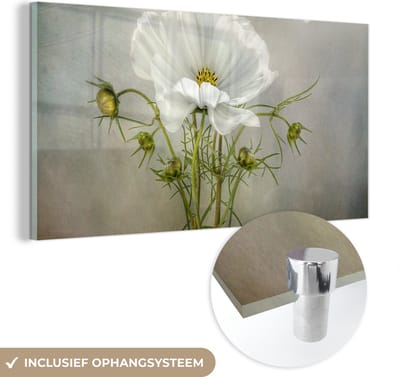 MuchoWow® Glasschilderij 40x20 cm - Schilderij acrylglas - Bloemen - Stilleven - Klaproos - Wit - Botanisch - Foto op glas - Muurdecoratie woonkamer - Wanddecoratie slaapkamer - Schilderijen