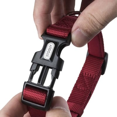 Verstelbare hondenhalsband van nylon met zachte neopreen padding voor puppy's en kleine honden, nekmaat 25-38 cm, rood, comfortabel en duurzaam