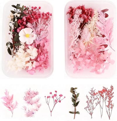 Dailygoods - Set van 2 Decoratieve Gedroogde Bloemen - Echte Geperste Bloemen voor DIY