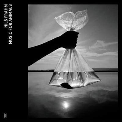 Nils Frahm - Music For Animals (4 LP) (Coloured Vinyl)