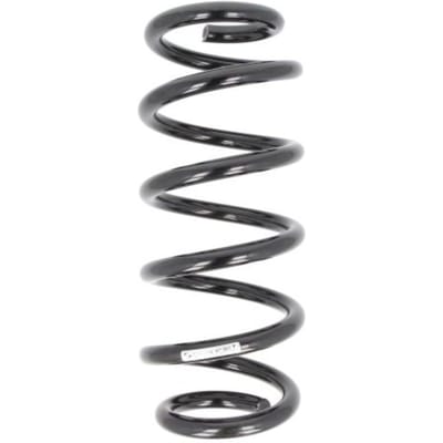 Chassisveer SACHS 993 563