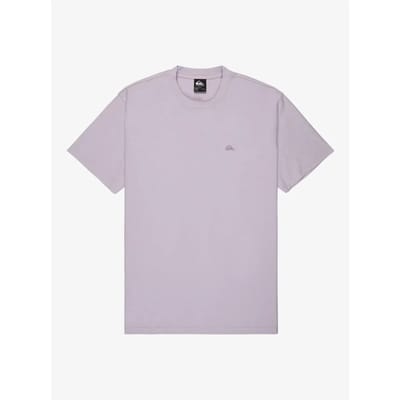Quiksilver Slub Roundneck T-shirt Met Korte Mouwen Paars L Man