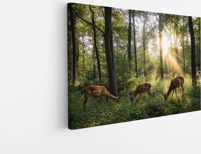 Saammp Canvas Schilderij - Natuur - 4 Herten in het bos - landschappen - 45x30 - Foto op canvas - Wanddecoratie - Muurdecoratie Woonkamer - Slaapkamer decoratie - Canvas Print
