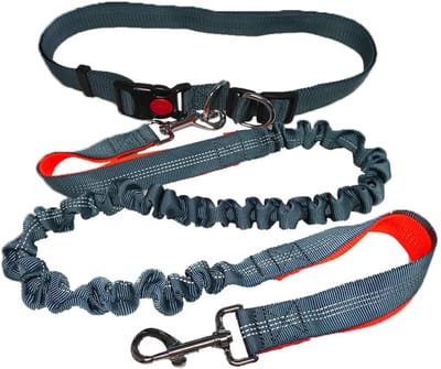 Handsfree Hondenriem, Verstelbare Heupriem en Dubbele Handgreep Intrekbare Bungee-Lijn, Jogging Hondenriem met Reflecterend Stiksel (Oranje Handgreep)