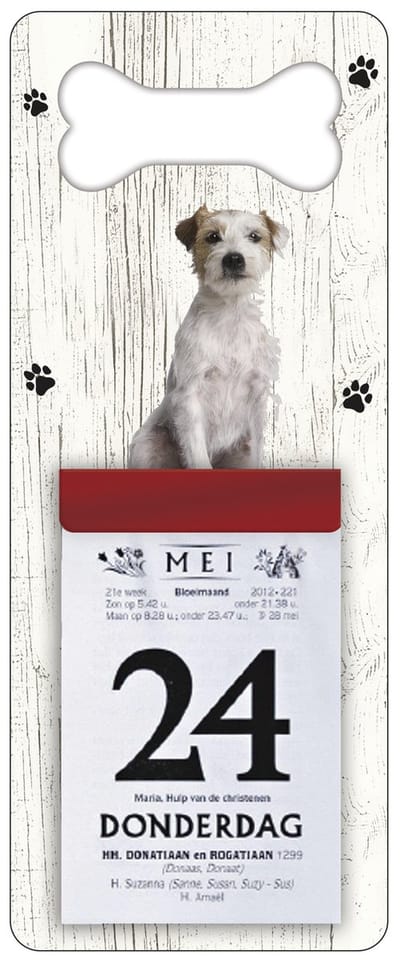 Scheurkalender 2027 Hond: Jack Russel Ruwharig